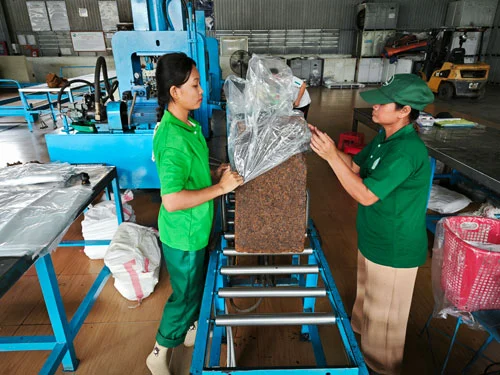Đầu tư ra nước ngoài từ những dự án trồng cao su: Tăng cường ngoại giao kinh tế